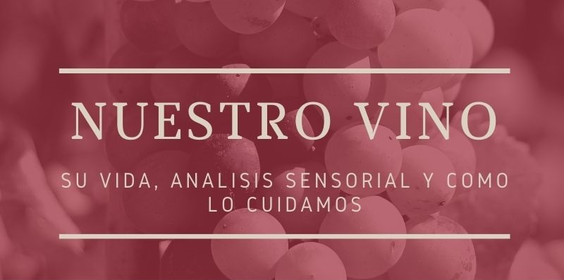 Descubre los detalles de nuestro vino, cual es su vida y sus caracteristicas